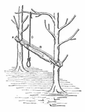 Tree Lathe Tree Lathe